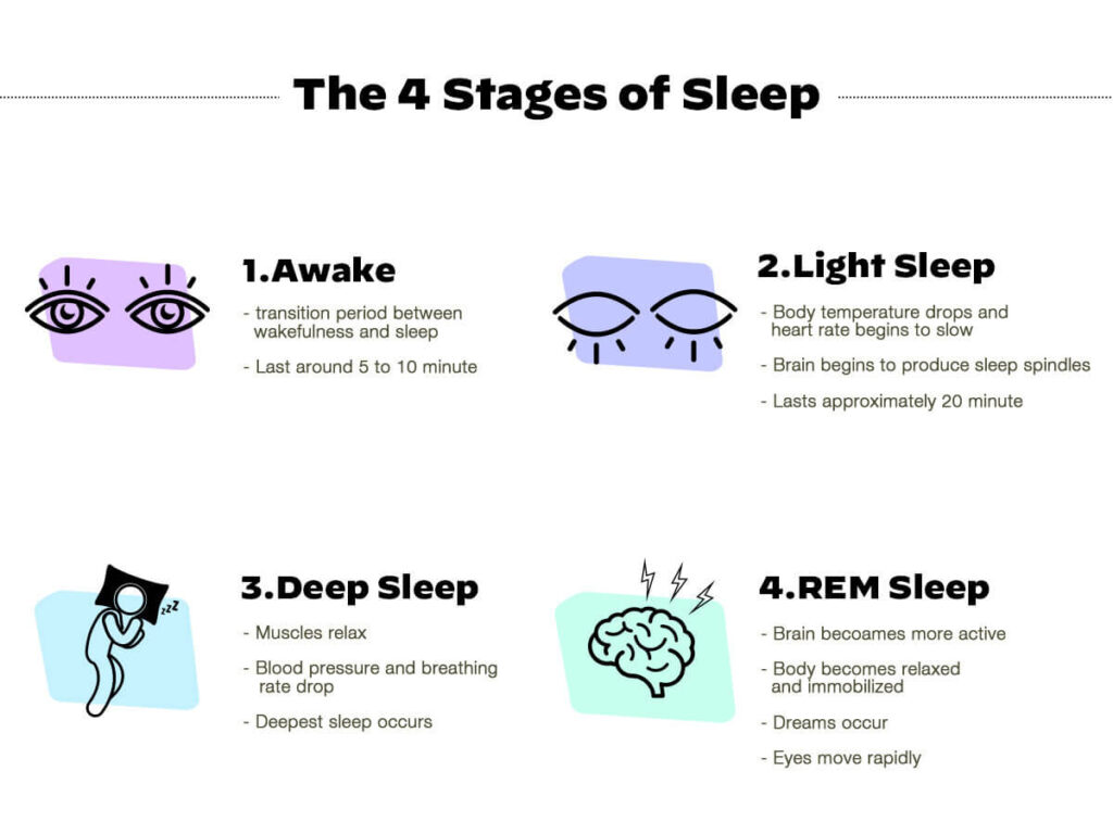 Connection Between Sleep Stages And Metabolic Health | Ultrahuman