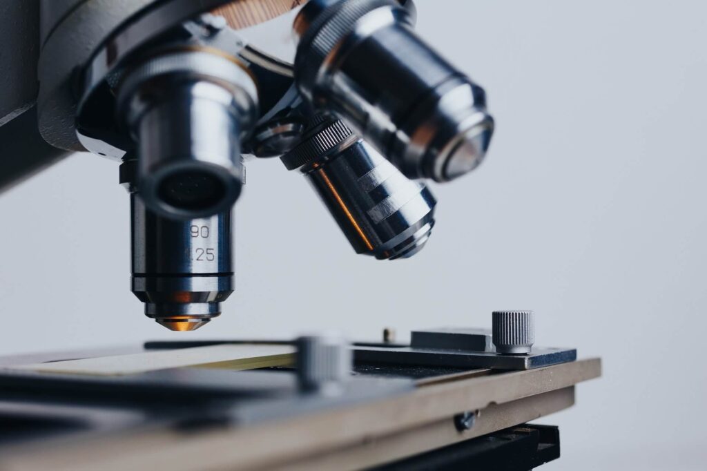 Immunometabolism 101: What is it and why is it important to you?