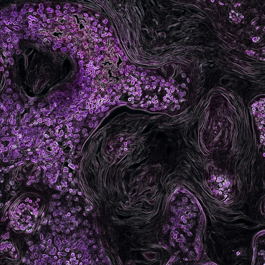 The underrated Cellular detox you should know about