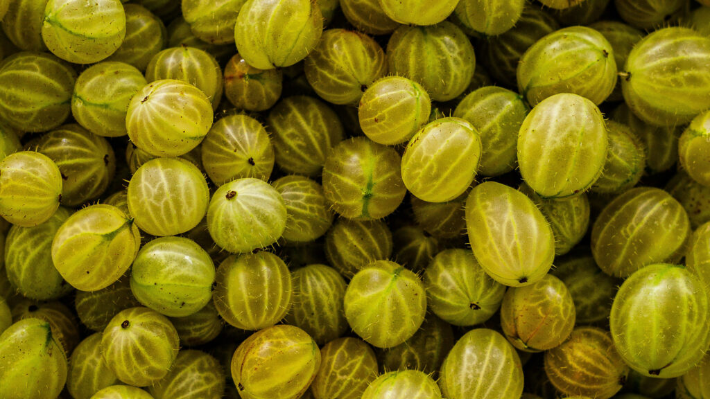 Patanjali amla juice and glucose: The evidence behind the claims