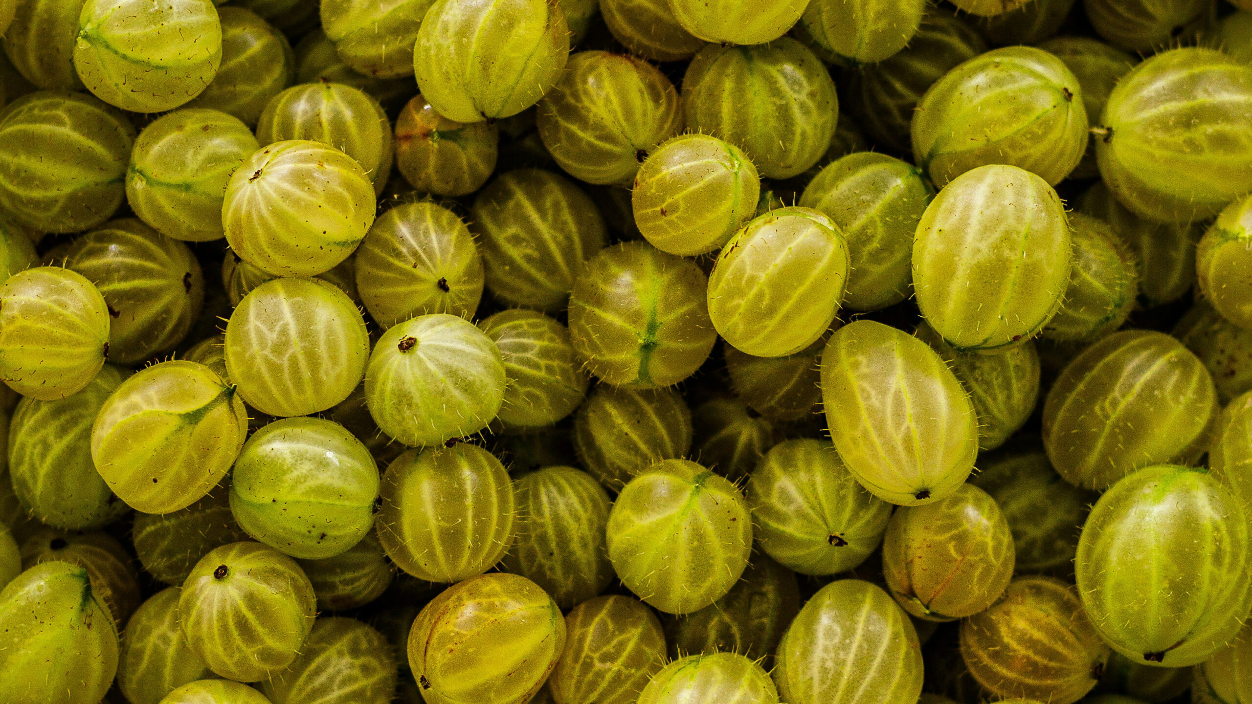 Patanjali amla juice and glucose: The evidence behind the claims