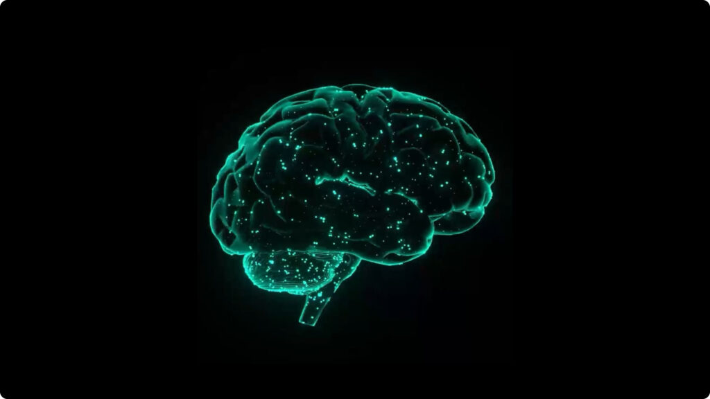 Brain Waste Clearance