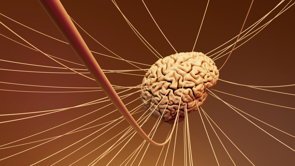 The vagus nerve and HRV: How to unlock your parasympathetic superpower